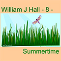 William J Hall, Singer, Songwriter - 8 - Summertime