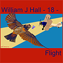 William J Hall, Singer, Songwriter - 18 - Flight